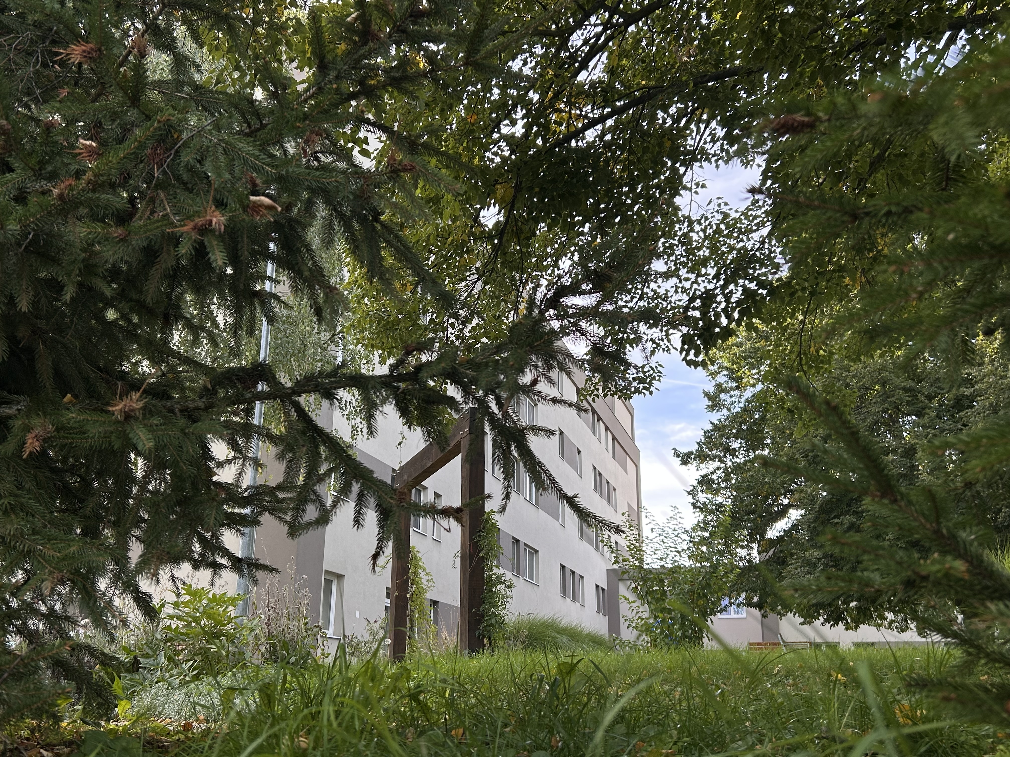 ‚Jaký je rok, měsíc a den?‘ Na Kolínsku se testuje aplikace, která pomůže odhalit demenci