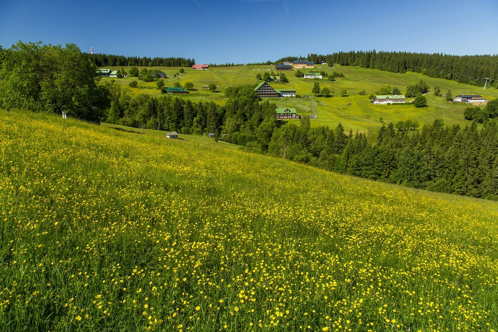 Kamera a drony. V Krkonošském národním parku testují nové metody mapování invazních rostlin