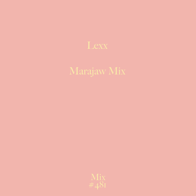 Mix 481 / Lexx