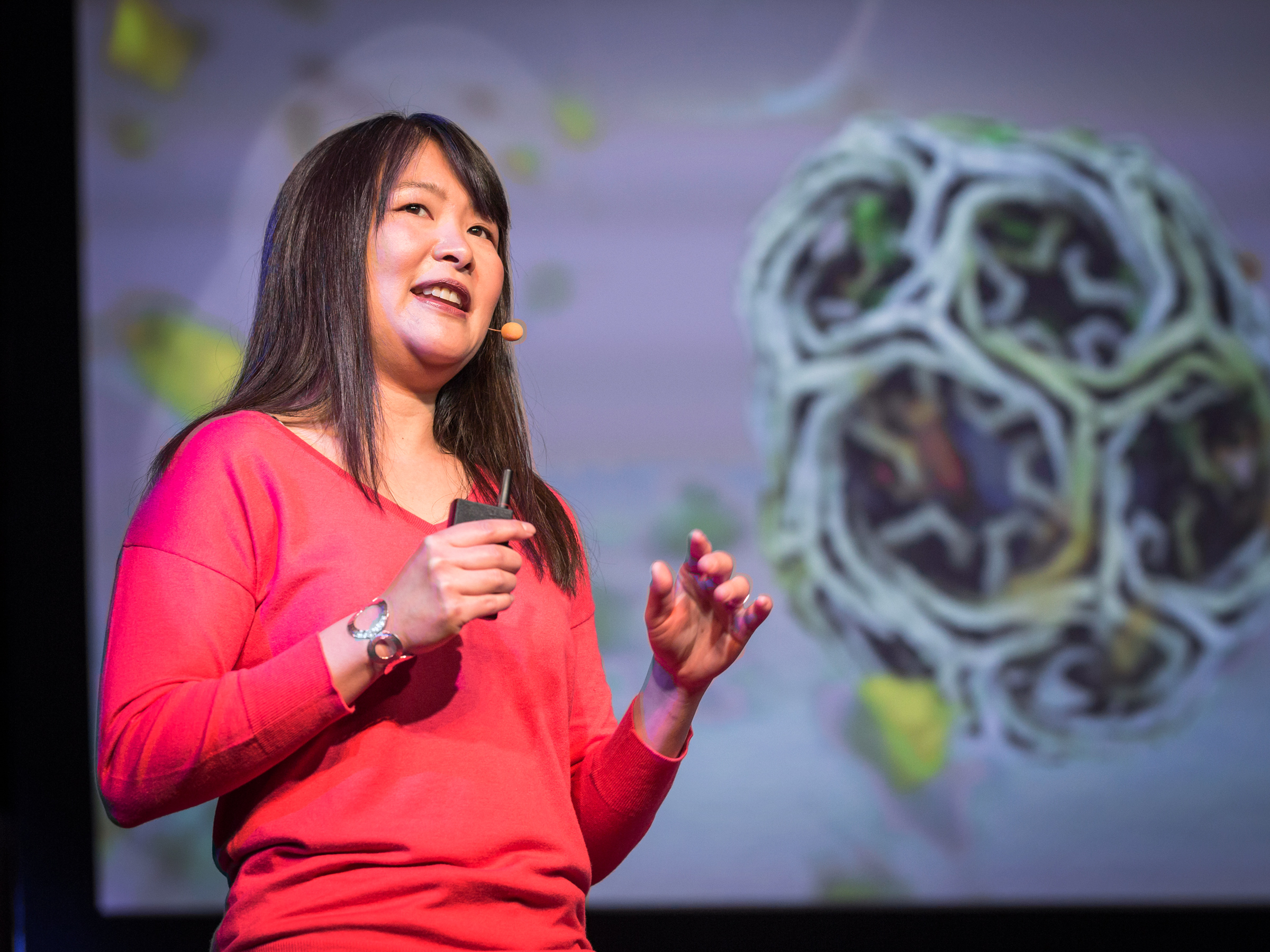 How animations can help scientists test a hypothesis